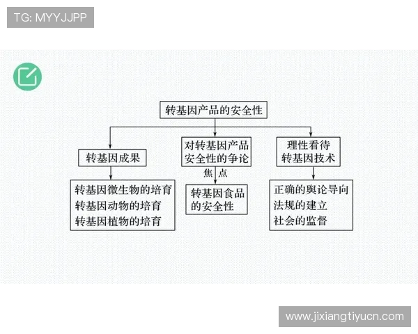 一分快三平台安全性评估及选择优质平台的实用建议