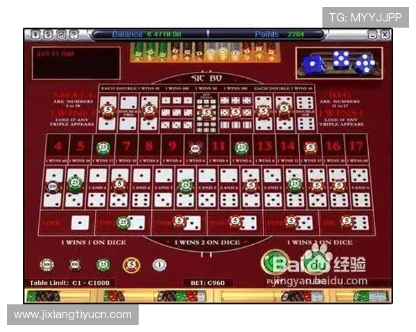 全面解析血战骰宝的玩法规则与常见策略帮助玩家赢得更多